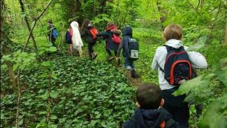 Des enfants en balades dans un bois