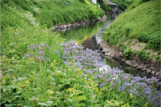 illu-consultation-plan-eau-bruxelles