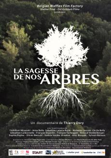 Affiche du film