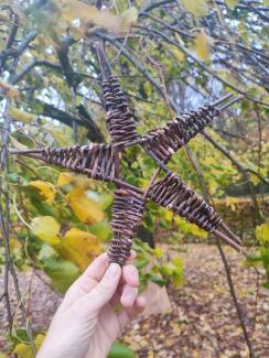 Vannerie sauvage - stage forêt