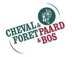 cheval-et-foret