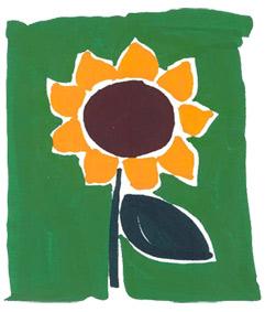 tournesol tournesol