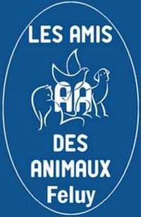 amis amis