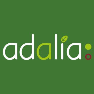 adalia adalia