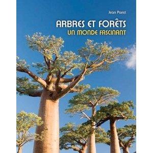 Arbres et forêts