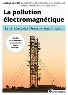 La pollution électromagnétique