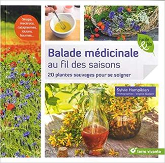 Balade médicinale au fil des saisons