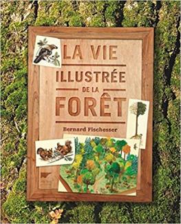 La vie illustrée de la forêt