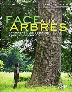 Face aux arbres