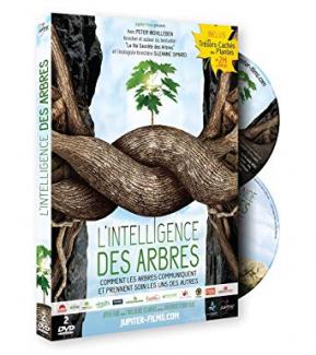 L'intelligence des arbres