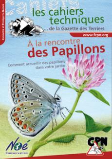 papillons