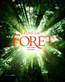 forêt