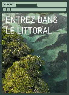 littoral