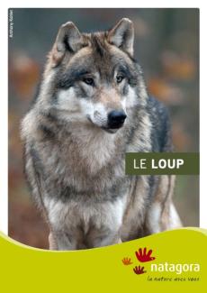 Le loup