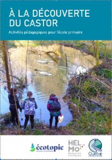 A la découverte du castor