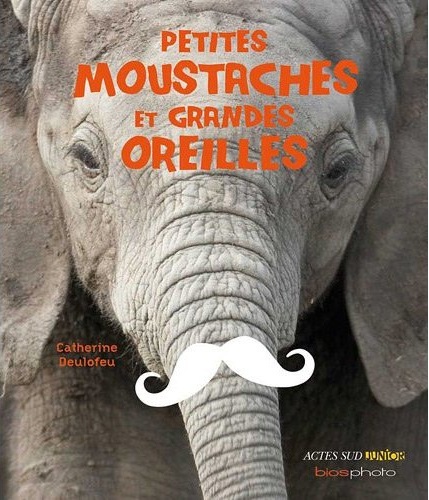 moustache