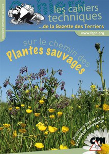 plantes sauvages