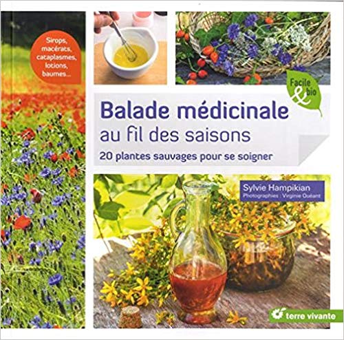 Balade médicinale au fil des saisons