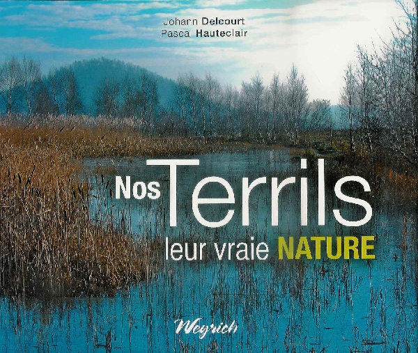 terrils